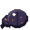 Cinder Beetle.