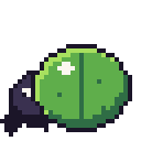 Leafback Beetle.