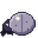 Pebble Beetle.